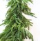 Real Touch Norfolk Pine Garland - 72&#x22;